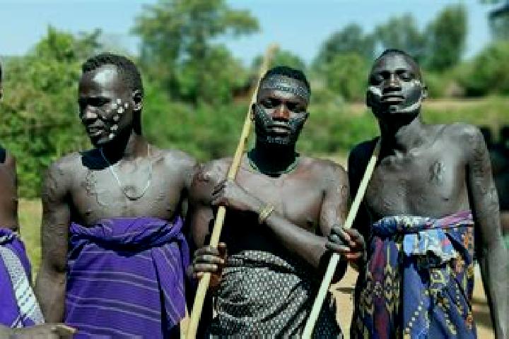 Escorts Sheno, Ethiopia — Local Companions