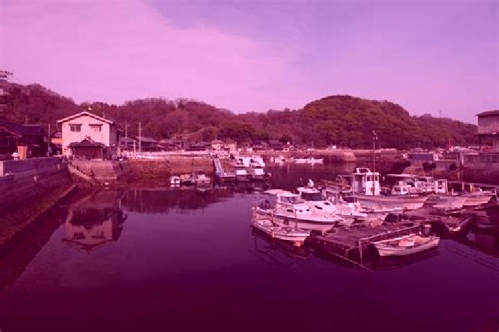 Escorts Shima, Japan — Local Companions