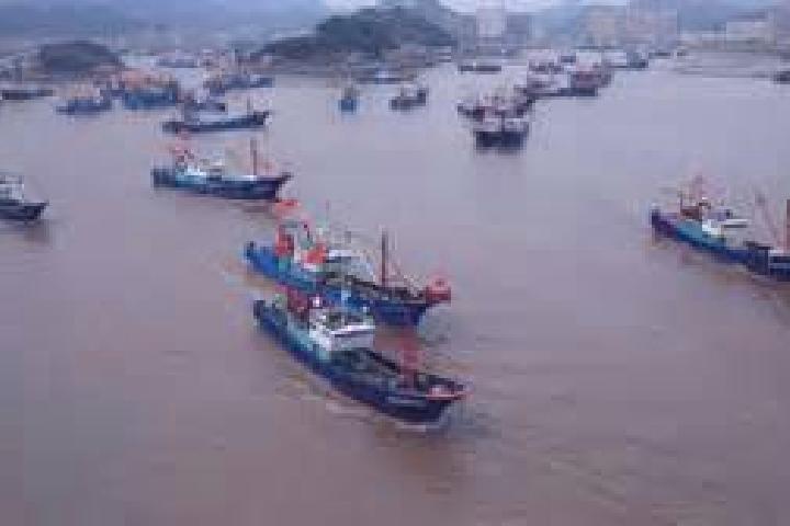 Escorts Shipu, China — Local Companions