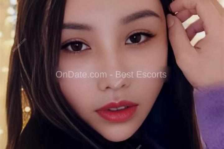 Escorts Shuitianhe, China — Local Companions