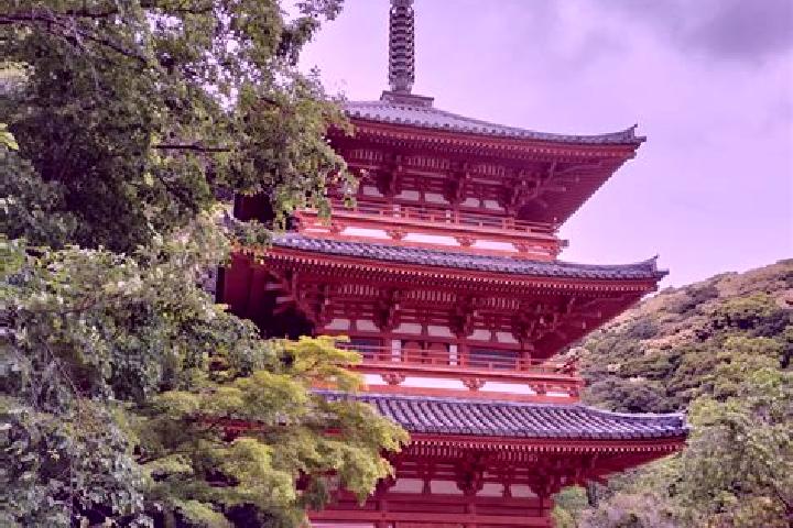 Escorts Shunan, Japan — Local Companions