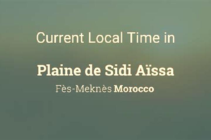 Escorts Sidi Aissa, Algeria — Local Companions