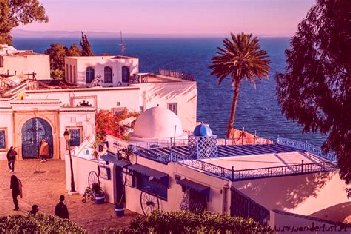 Escorts Sidi Bou Rouis, Tunisia — Local Companions