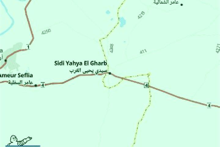 Escorts Sidi Yahia El Gharb, Morocco — Local Companions