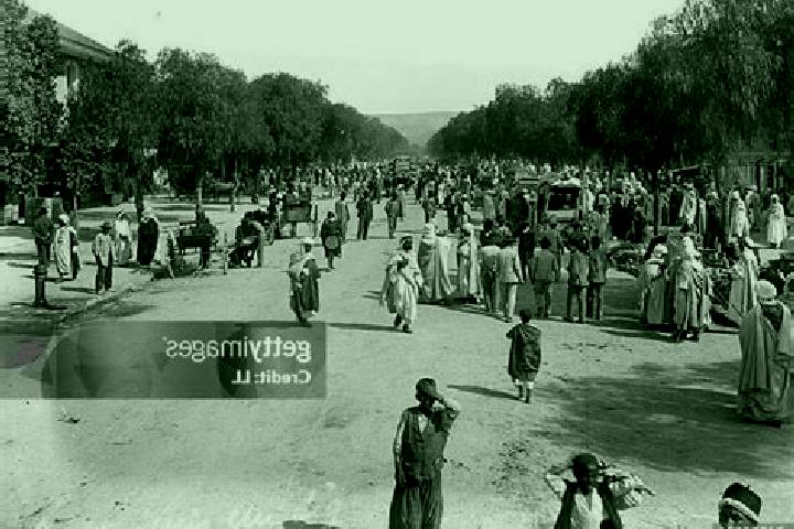 Escorts Sig, Algeria — Local Companions