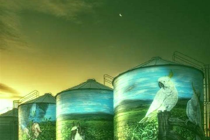 Escorts Silos, Colombia — Local Companions