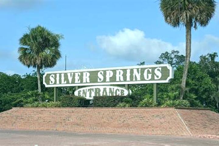 Escorts Silver Springs, Canada — Local Companions