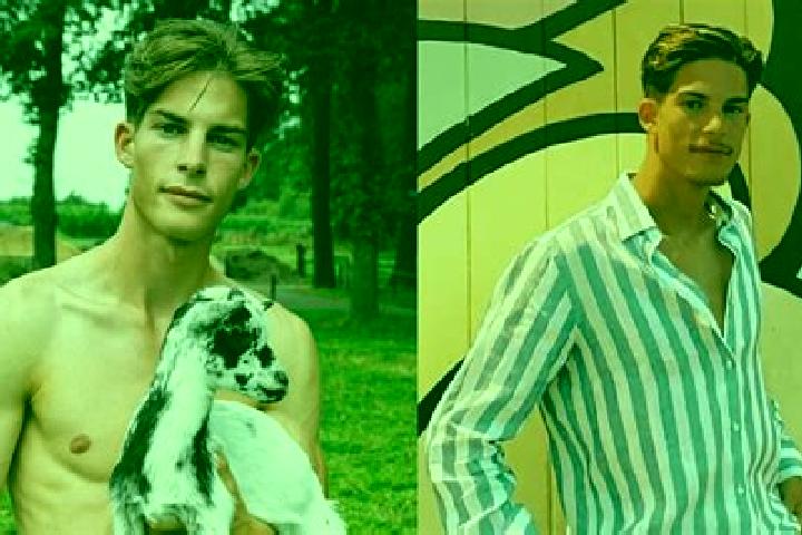 Escorts Sint Philipsland, Netherlands — Local Companions