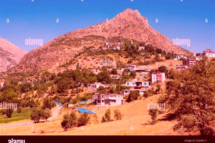 Escorts Sirnak, Turkey — Local Companions