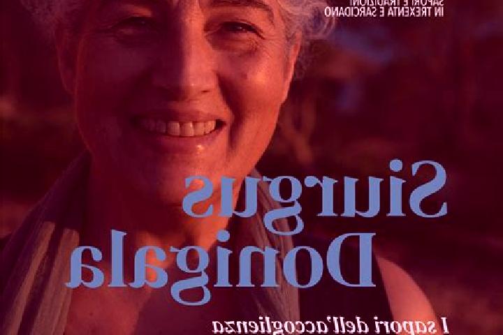 Escorts Siurgus Donigala, Italy — Local Companions