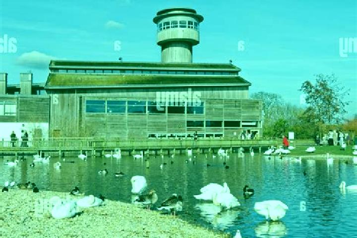 Escorts Slimbridge, United Kingdom — Local Companions