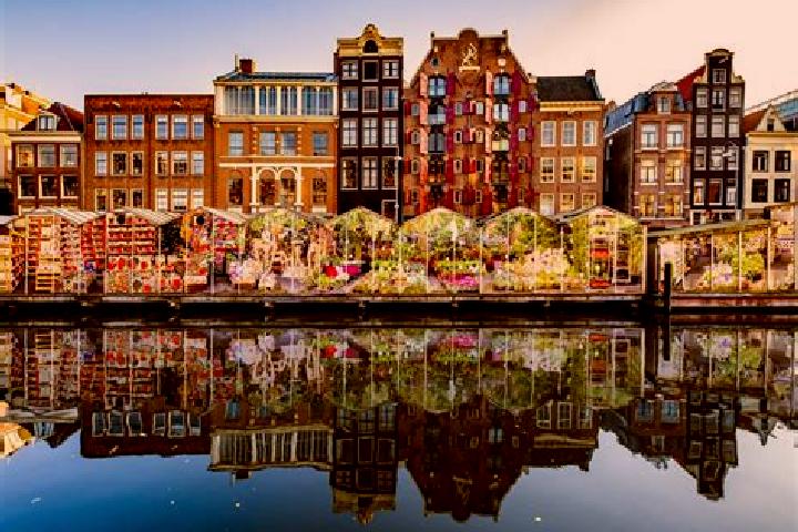 Escorts Sloten, Netherlands — Local Companions