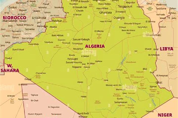 Escorts Smala, Algeria — Local Companions