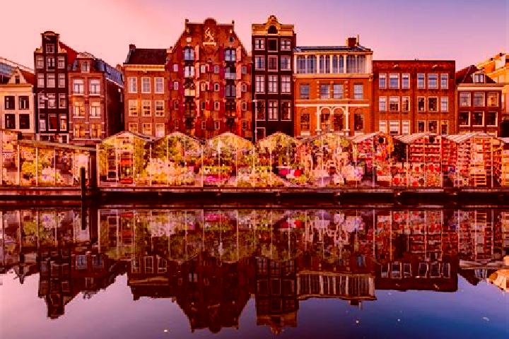 Escorts Sneek, Netherlands — Local Companions