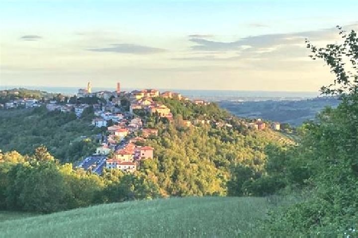 Escorts Sogliano al Rubicone, Italy — Local Companions