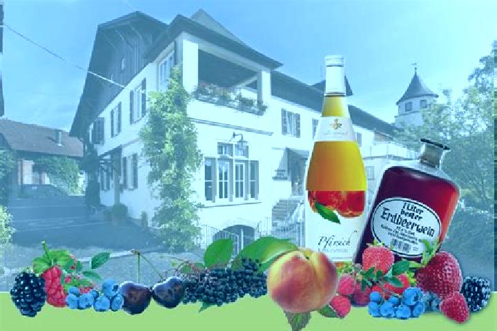 Escorts Sondheim vor der Rhoen, Germany — Local Companions