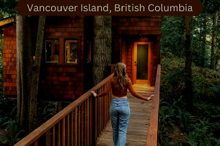 Escorts Sooke, Canada — Local Companions