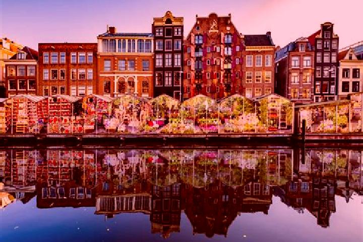 Escorts Sprengenbos, Netherlands — Local Companions