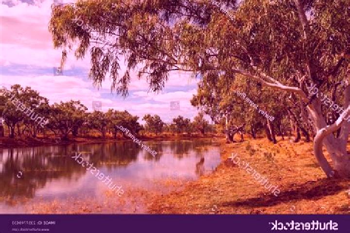 Escorts Spring Creek, Australia — Local Companions