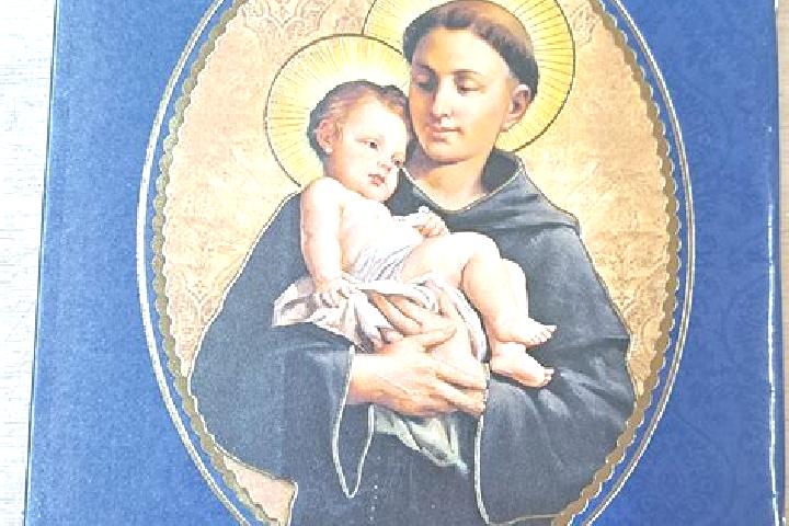 Escorts St. Anthony, Canada — Local Companions
