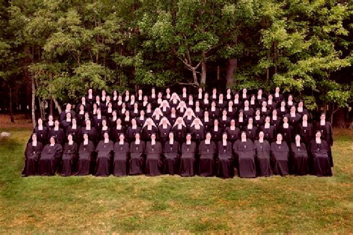 Escorts St. Stephen, Canada — Local Companions