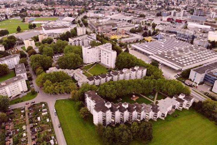 Escorts Stadt Winterthur (Kreis 1), Switzerland — Local Companions