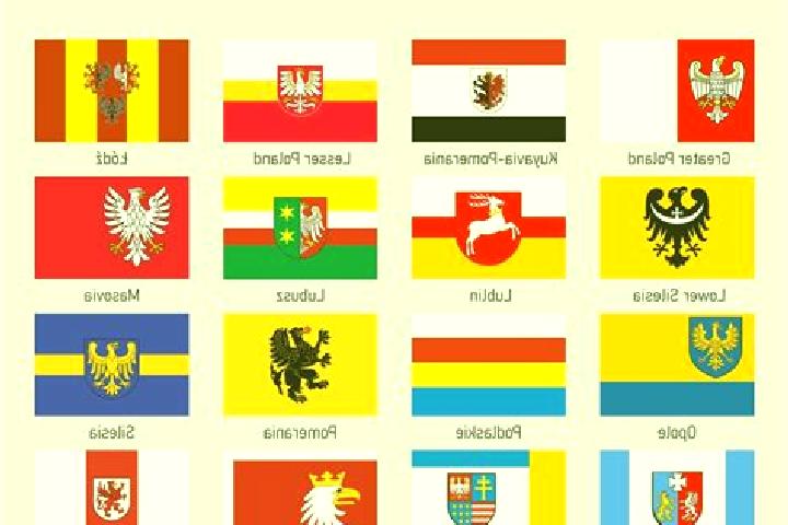 Escorts Staszow, Poland — Local Companions