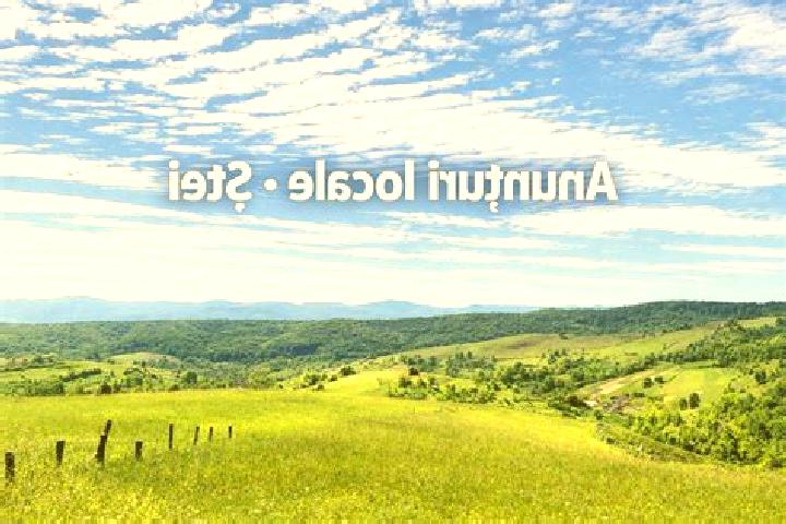 Escorts Stei, Romania — Local Companions