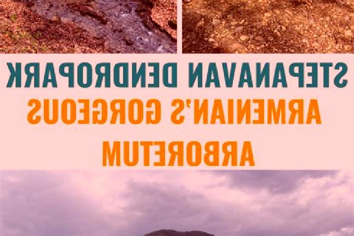 Escorts Stepanavan, Armenia — Local Companions