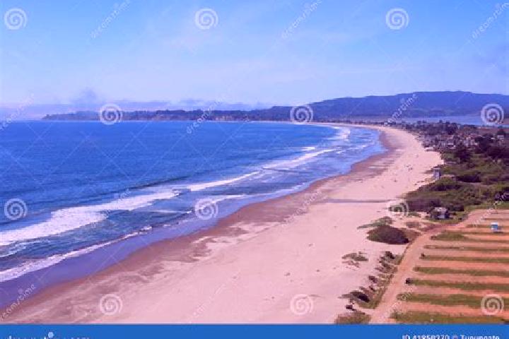 Escorts Stinson Beach, United States — Local Companions