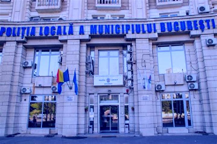 Escorts Stoilesti, Romania — Local Companions