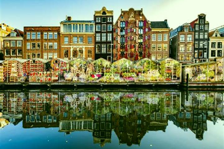 Escorts Stokkum, Netherlands — Local Companions