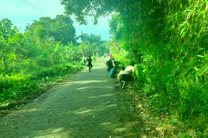 Escorts Suger Kidul Krajan Timur, Indonesia — Local Companions