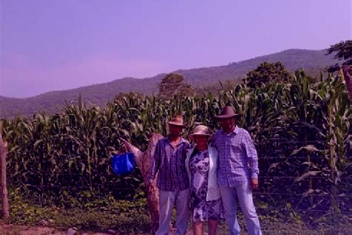 Escorts Sulaco, Honduras — Local Companions