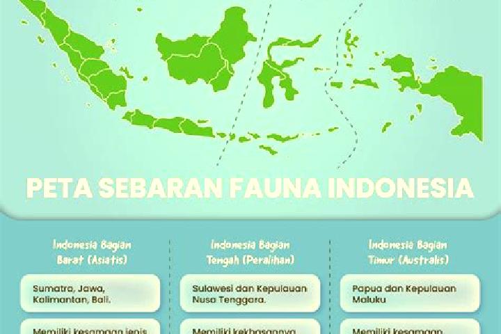 Escorts Sumbernangka Tengah, Indonesia — Local Companions