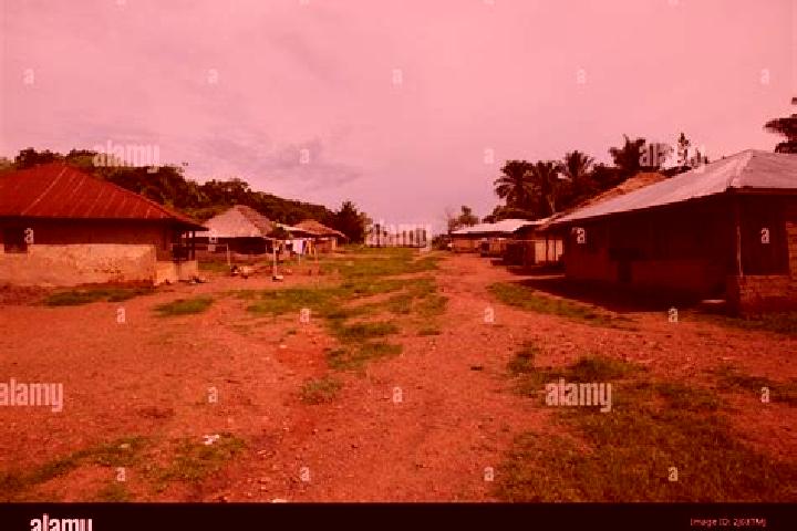 Escorts Sumbuya, Sierra Leone — Local Companions