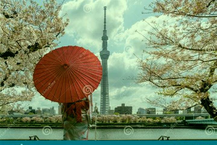 Escorts Sumida, Japan — Local Companions