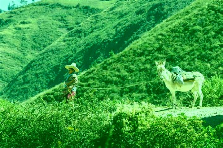 Escorts Sunchubamba, Peru — Local Companions
