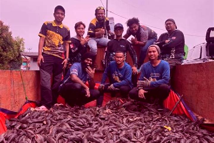 Escorts Sungai Baharu, Malaysia — Local Companions