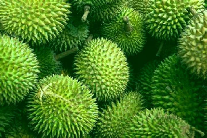 Escorts Sungai Durian, Malaysia — Local Companions