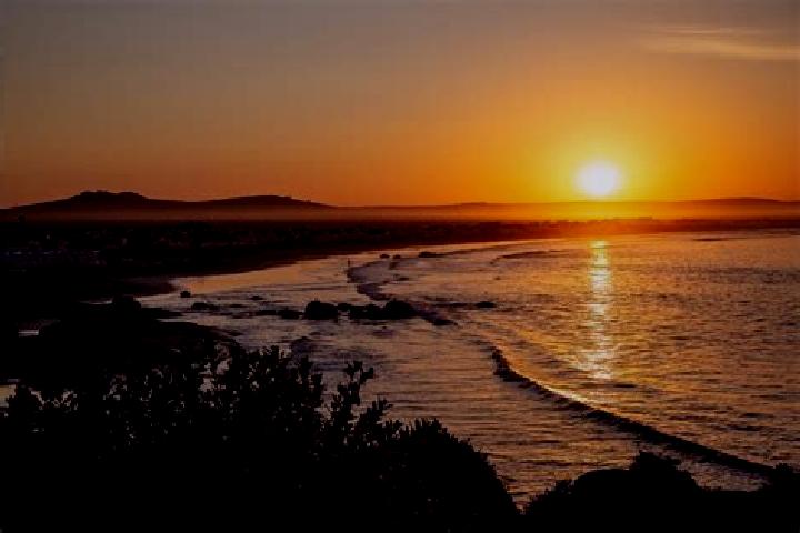 Escorts Sunset Beach, South Africa — Local Companions