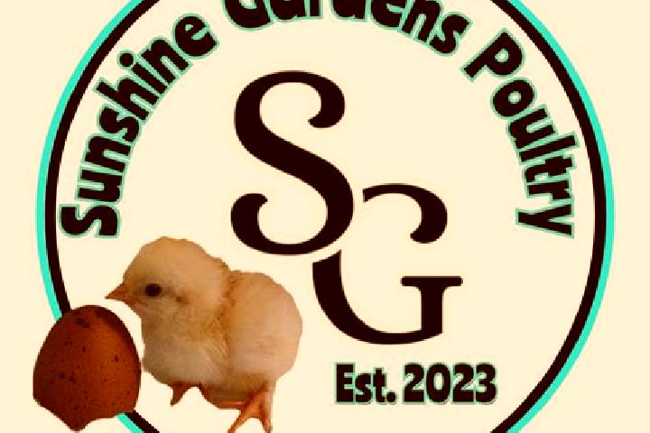 Escorts Sunshine Gardens, Canada — Local Companions