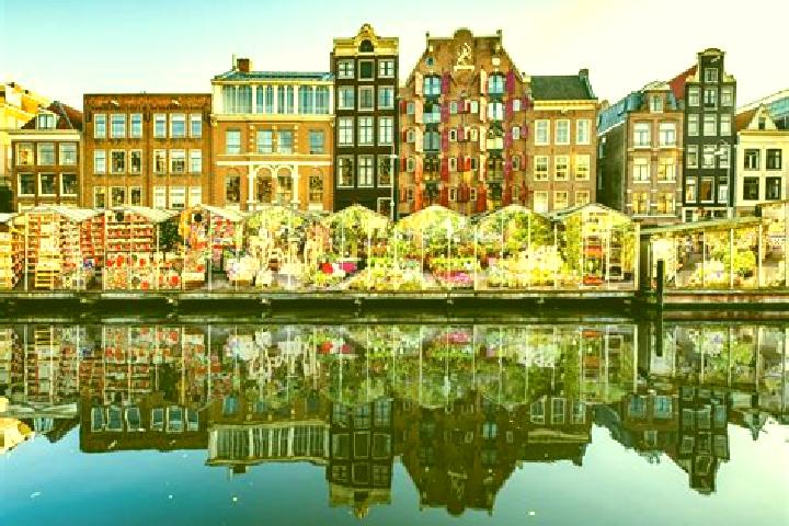 Escorts Surhuizum, Netherlands — Local Companions