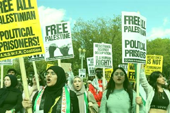 Escorts Surif City, Palestine — Local Companions
