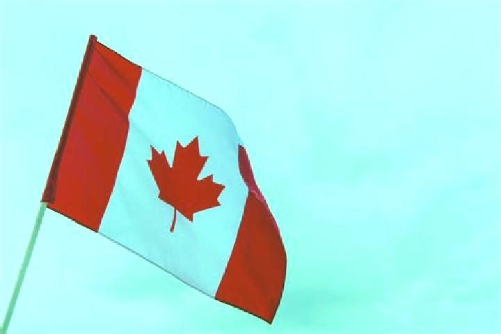 Escorts Sussex, Canada — Local Companions
