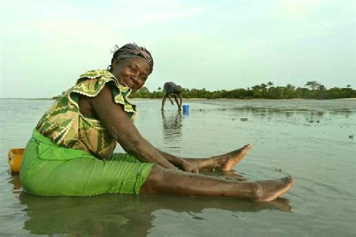 Escorts Sutukoba, Gambia — Local Companions