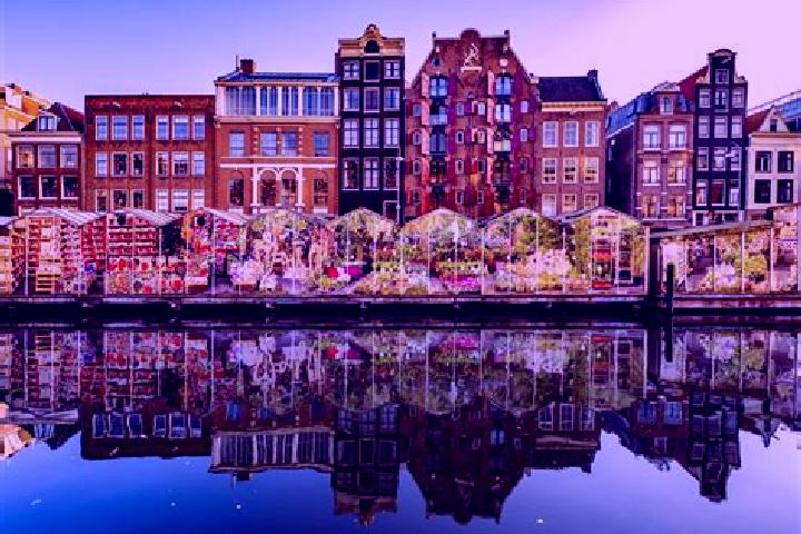 Escorts Sweagerbosk, Netherlands — Local Companions