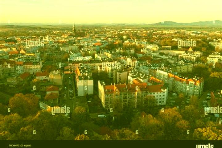 Escorts Swidnica, Poland — Local Companions