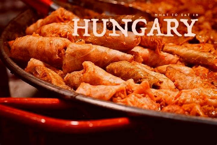 Escorts Szabadkigyos, Hungary — Local Companions