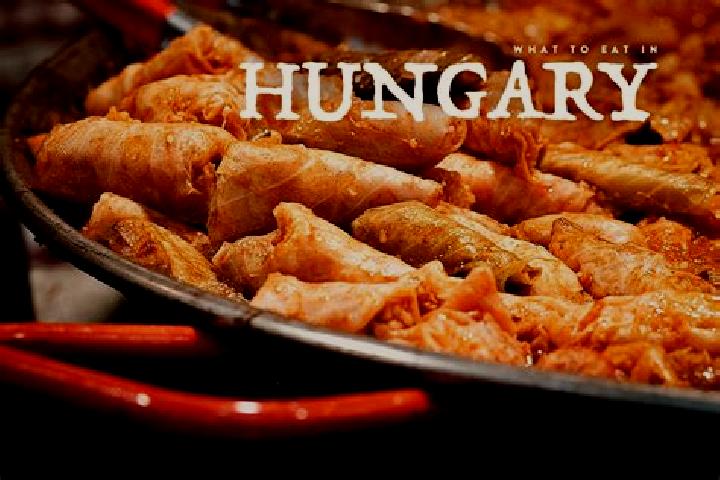 Escorts Szent Imre-kertvaros, Hungary — Local Companions